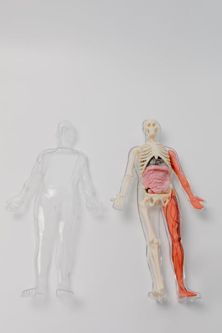 Case study: deploying 50 medical technician to Russia