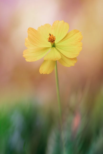 Bulk Deployment of Waiters for Qatar Catering