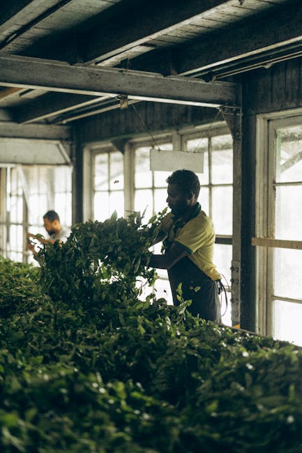 Training and Upskilling to Retain South Asian Workers