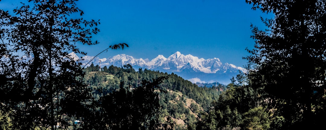 Sourcing Nepali Plant Manager Complete Guide