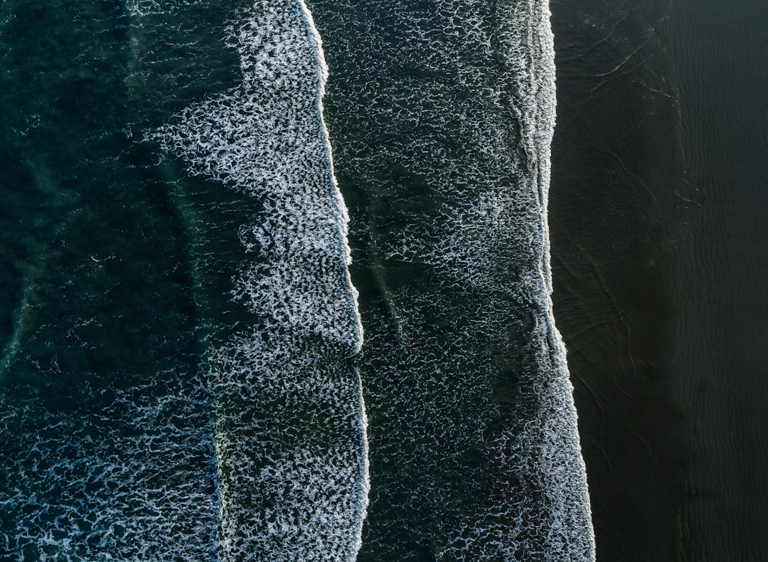 Visa Processing Fees Bulk Application: Complete Guide for GCC Employers