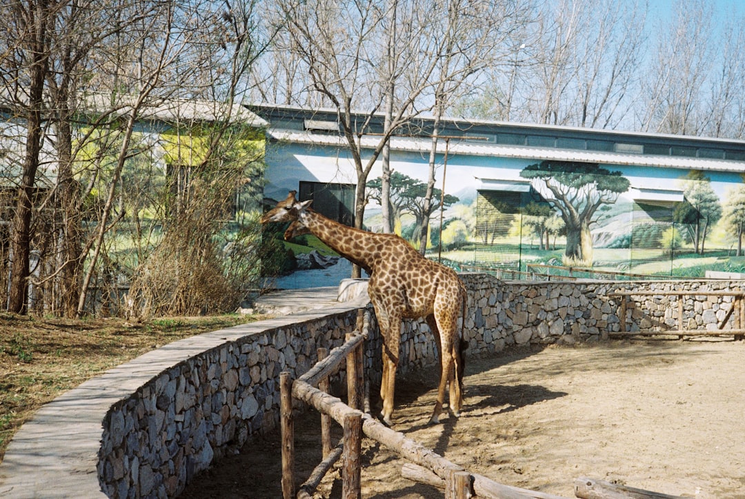 Zoo FM Wildlife Facility Management: Complete Guide for GCC Employers