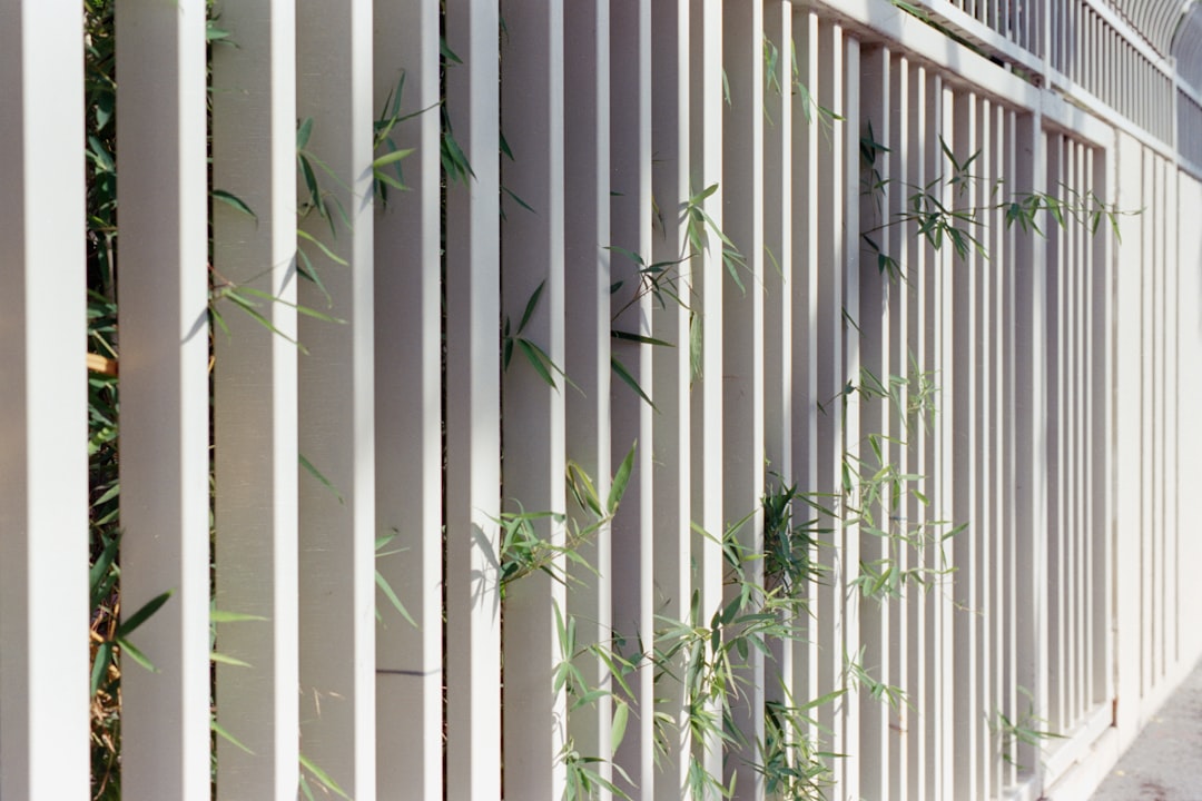 Facade Installers Curtain Wall: Complete Guide for GCC Employers