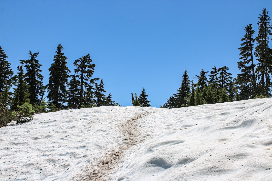 Summer Maintenance Peak Season: Complete Guide for GCC Employers