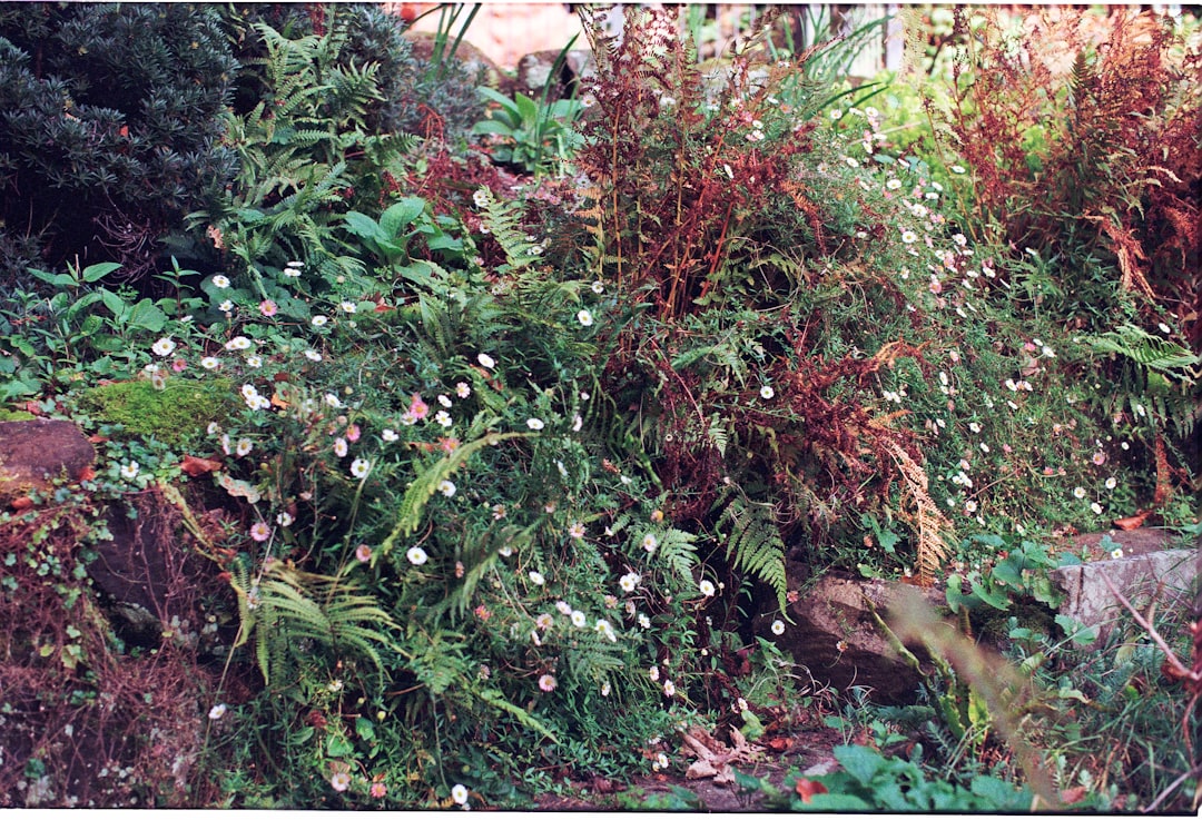 Landscaping Cycles Seasonal Plant Care: Complete Guide for GCC Employers